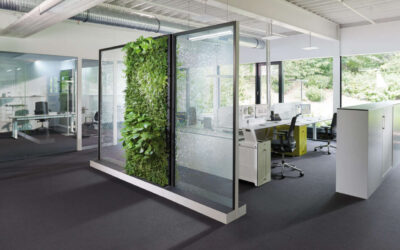 Glass Partitioning is a Way to Transform Your Business Environment